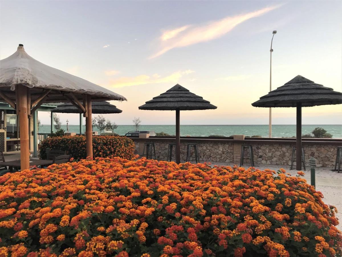 Shark Bay Seafront Apartments Denham Kültér fotó