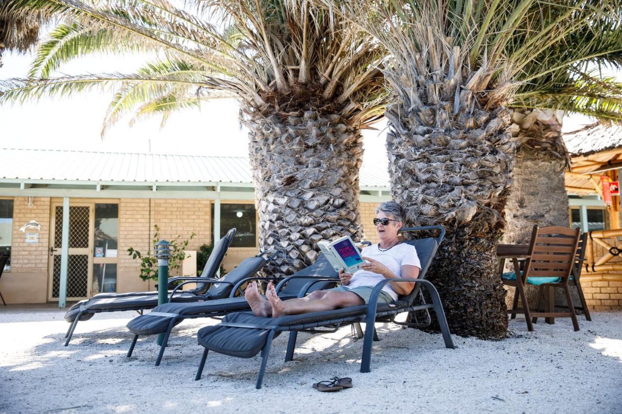 Shark Bay Seafront Apartments Denham Kültér fotó