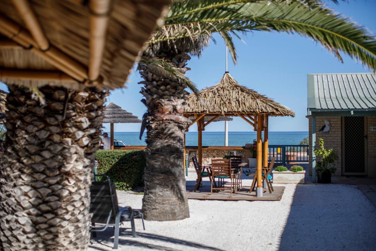 Shark Bay Seafront Apartments Denham Kültér fotó